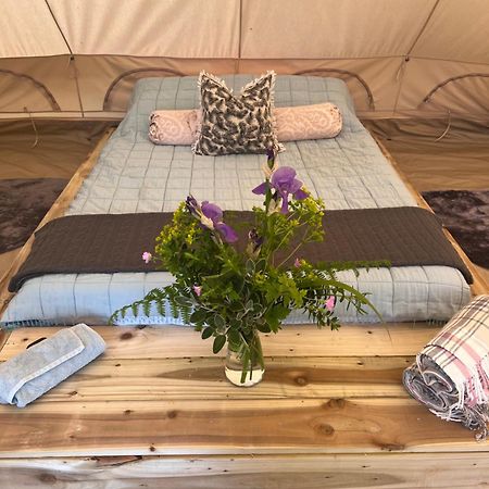 Bluebell Tent At Ballyward Croft Ardkeen Εξωτερικό φωτογραφία