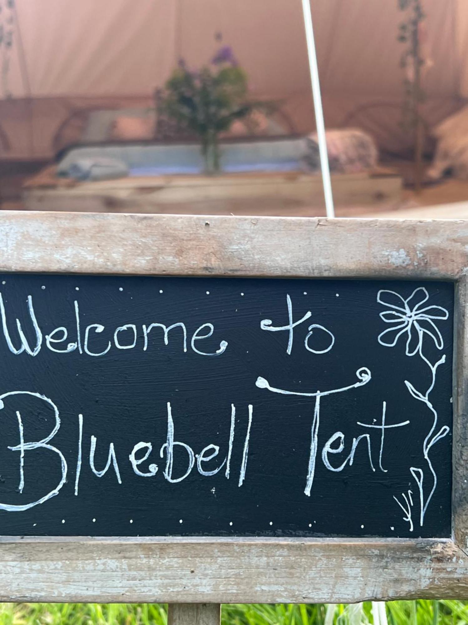Bluebell Tent At Ballyward Croft Ardkeen Εξωτερικό φωτογραφία