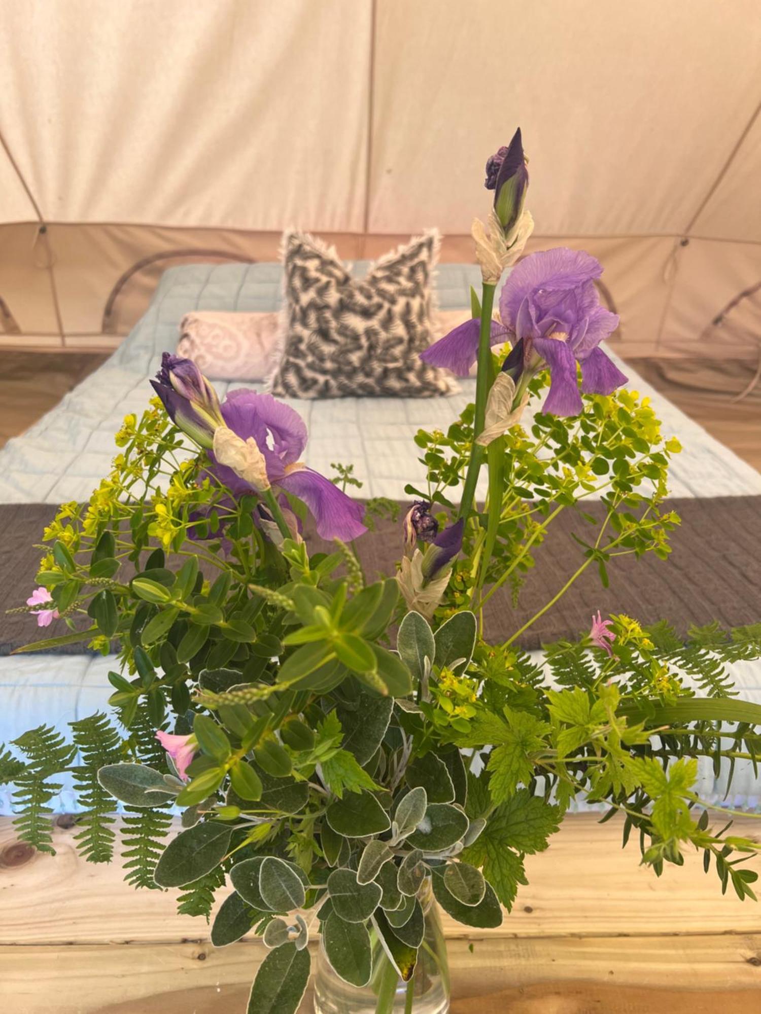 Bluebell Tent At Ballyward Croft Ardkeen Εξωτερικό φωτογραφία
